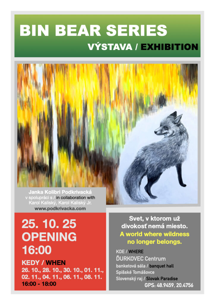 bin bear series info